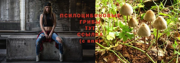 герыч Белокуриха