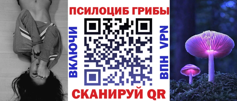 Псилоцибиновые грибы мухоморы  Купить где  Людиново 